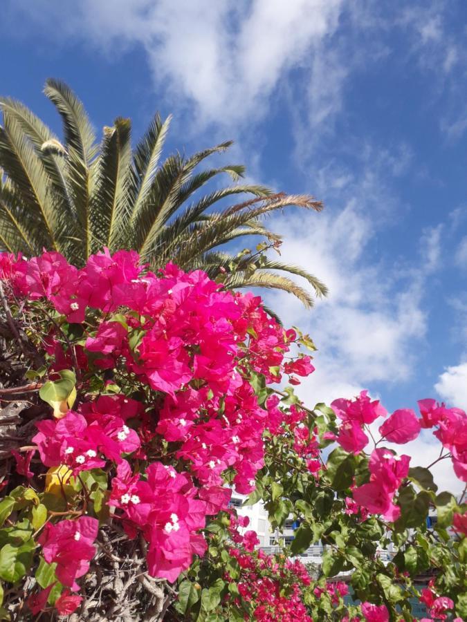 Ferienwohnung Taidia Tropical Maspalomas  Exterior foto